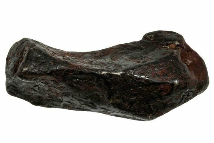 Canyon Diablo Iron Meteorite ( g) - Arizona #336005